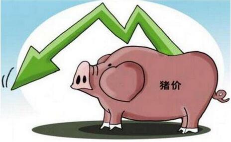 戳破两个谣言：猪价明年会不会涨，是否比13、14年更惨？