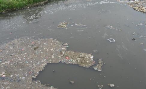 10多家养猪场猪粪直排协兴港河 河水被严重污染