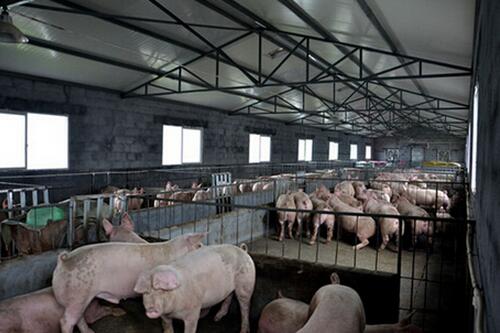 养猪场最应小心的环保法规“十宗最”！
