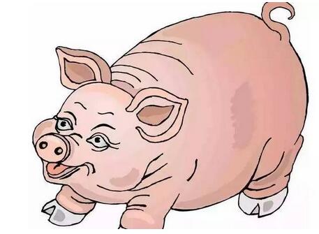 猪价小幅上涨不过是套路 预测一周后行情怕是残不忍赌