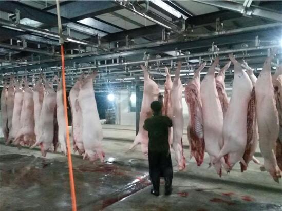 丹棱县:压点升级屠宰场肉品质量有保障