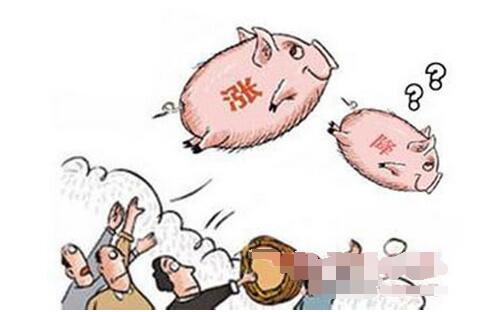 国家将开展新一轮猪肉储备 猪价止跌反弹长久吗？