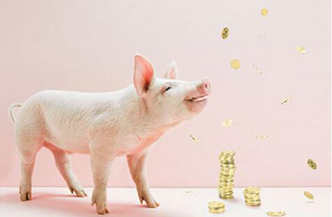 养殖企业布局下游对冲猪价下跌风险