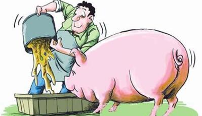猪价上涨还在继续，肥猪7元/斤卖不卖……