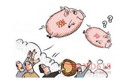 屠宰企业收猪困难在增加，猪价有望呈上涨吗？