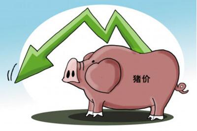 为何业内认为下半年猪价难有起色？