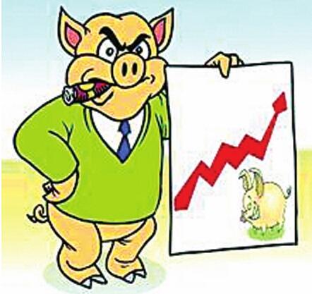 猪市已开启上涨脚步，7、8月整体上八概率很大？