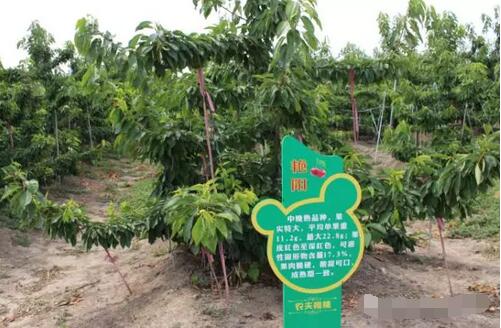天津市农夫农畜业科技发展有限公司——生态循环农业典范