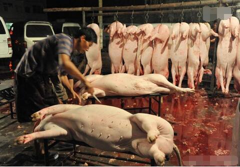 龙争虎斗，屠宰企业与养猪人，谁更能影响猪价