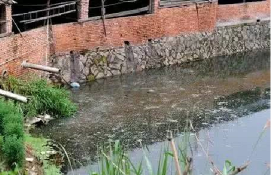 最新《中华人民共和国水污染防治法》2018年1月1日实施