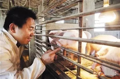 鲍洪星：中国人吃肉60%还得靠家庭猪场！未来几年是盈利期