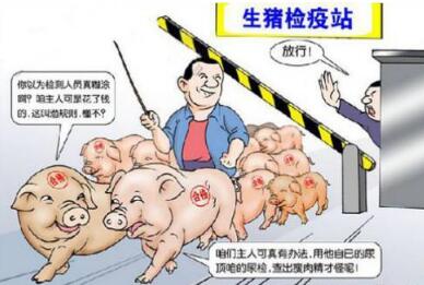 狼来了！低价洋猪肉已侵占国内市场，养猪人将如何面对？