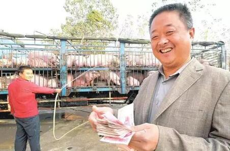 未来养猪人的天堂！就是中国养猪第一大省四川！