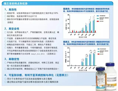 直面蓝耳病：姜平、杨汉春教授发现目前NADC30毒株与中国高致病性毒株重组案例非常多，但TJM-F92疫苗能对重组毒株提供保护！