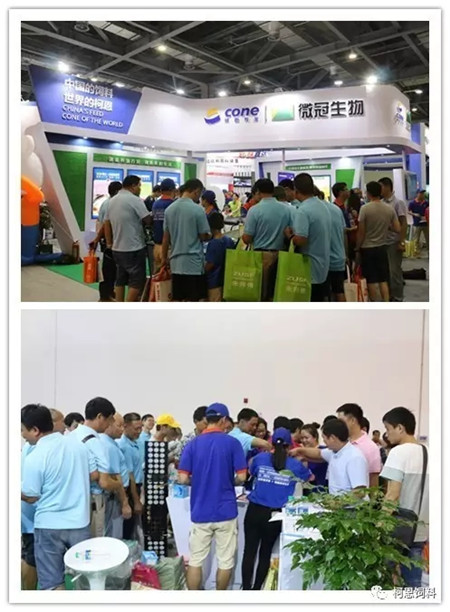 再战2017江西猪业博览会·柯恩饲料荣获2017年江西市场最具影响力饲料品牌