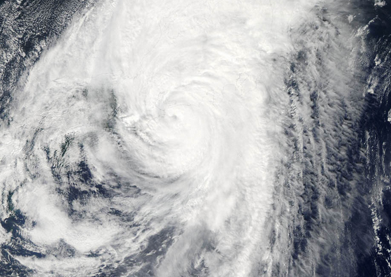 农业部紧急部署第7号台风“洛克”和第8号台风防御工作
