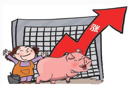 猪价逆袭上涨的因素到底有什么？8月会飞起来吗？