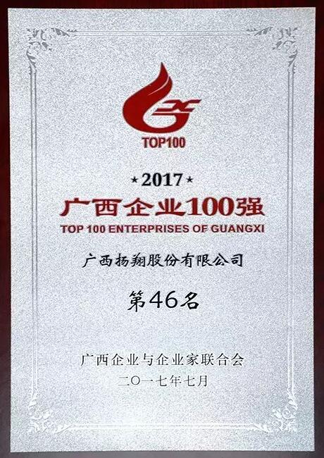 再入百强！热烈祝贺扬翔股份进入2017广西百强企业榜！