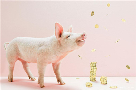 猪价权限大涨模式开启背后的风险，你知道吗？