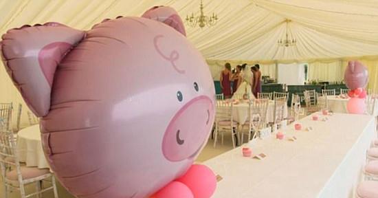 英国新郎花12万办猪主题婚礼50头猪令新娘崩溃！