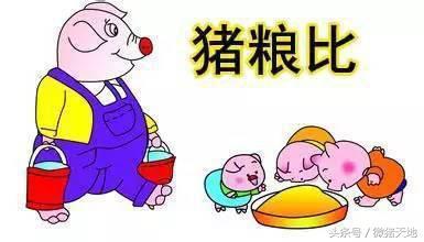 农民学养猪，怎样预测猪价是否能赚钱（猪粮比6:1)
