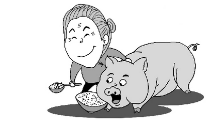 猪价上涨 辽宁、黑龙江、河北等地小涨0.1元/公斤