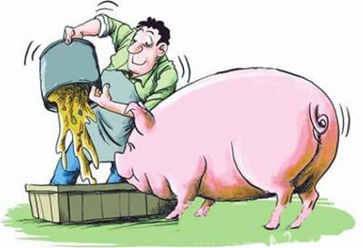 猪价回涨，养猪人注意风险！9月猪价格可期，合理出栏！