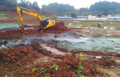 25栋猪场厂房圈舍因污染被拆除！连土也挖走！