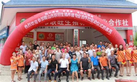 8月27日，四川眉山市联旺生猪养殖专业合作社启动仪式在果树种植与生猪养殖种养循环的三苏乡顺利举行。