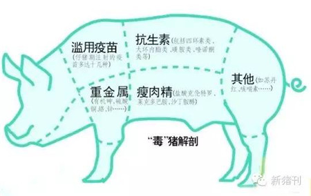 仔猪黄白痢成当下发生最多猪病，看看新生态兽医是怎样防治的？