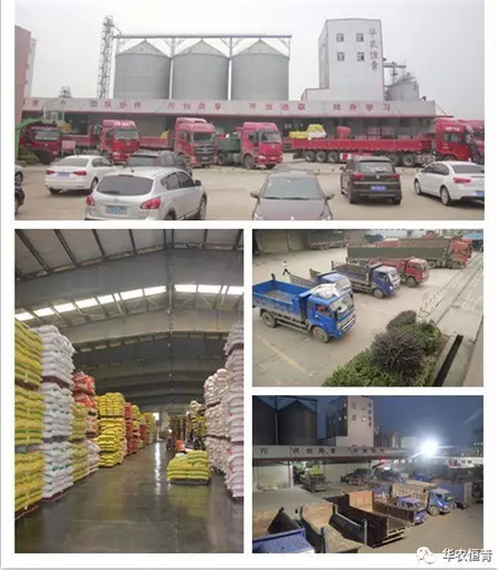 [销量捷报]华农恒青高安基地八月份猪料销量超五万吨 再创新高