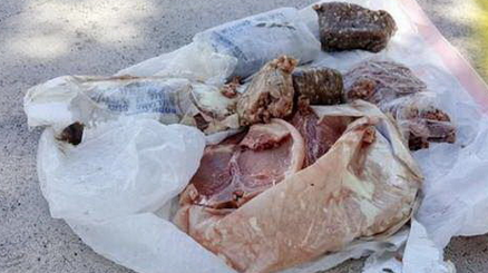 　美国佛罗里达州的亚戴尔一家经历了一场独特的“猪肉雨”。他家屋顶发生天降冻肉怪事，竟然有重达13斤的冷冻猪肉掉在他家屋顶上。
