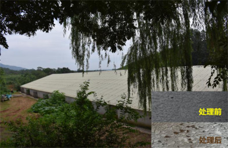 顺鑫茶棚养猪场如何走出了环保危机