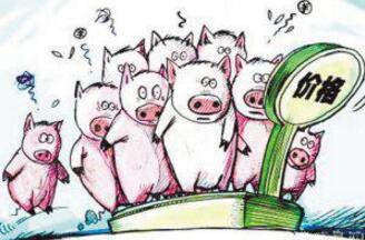 农民学养猪，9月猪价分析及未来几月趋势