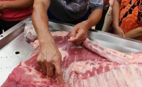 近几日，据猪之宝报价平台显示，河北局部地区收猪价最高7.3元/斤，最低6.8元，一直在七元左右徘徊，涨涨跌跌，举步维艰。