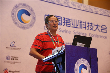 直击2017中国猪业科技大会——肉猪营养专场