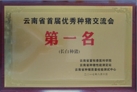 2017年8月10日，“云南省首届优秀种猪交流会”在云南省种猪质量检验测试中心隆重举行。
