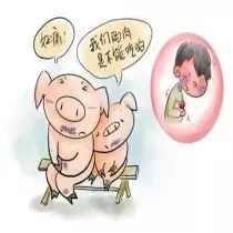猪流行性腹泻的症状及治疗！经典！