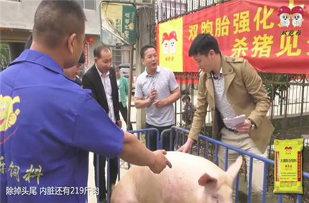 双胞胎集团中国500强企业，连续十年位居中国猪饲料第一品牌，双胞胎胞胎饲料性价比高，产品质量一直稳定著称行业，是猪场最值得信赖的饲料品牌。