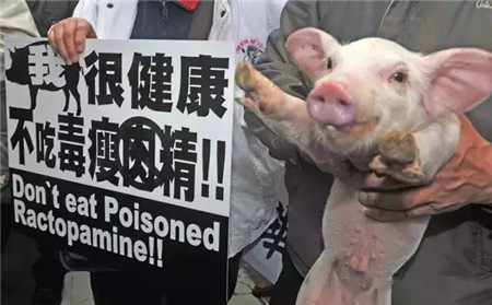 真的假的？在美华人爆料：吃美国猪肉等于自杀……