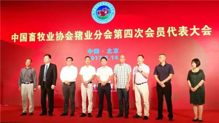 在9月14日召开的中国畜牧业协会猪业分会第四届一次理事会上，集团被推选为中国畜牧业协会猪业分会会长单位，王德根董事长当选猪业分会会长。