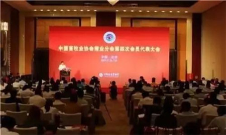 在9月14日召开的中国畜牧业协会猪业分会第四届一次理事会上，集团被推选为中国畜牧业协会猪业分会会长单位，王德根董事长当选猪业分会会长。