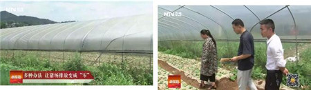 央视专题报道：松桃德康家庭农场实现猪场“零”排放