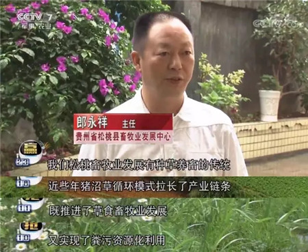 央视专题报道：松桃德康家庭农场实现猪场“零”排放
