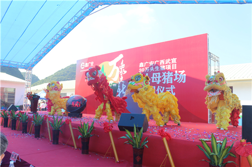 鑫广安广西武宣30万头生猪产业工程万头母猪场启用庆典隆重举行
