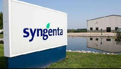 美联社（GMT）报道，瑞士农业巨头先正达（Syngenta）本周二表示，公司已经同意解决上万美国农民对其发起的转基因玉米种子的诉讼问题，