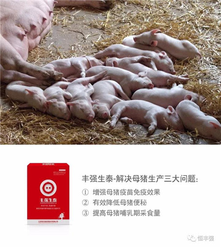  广州种猪鉴定中心开创健康养猪比赛，建立猪血液等标准数据模型，测定猪的健康度。