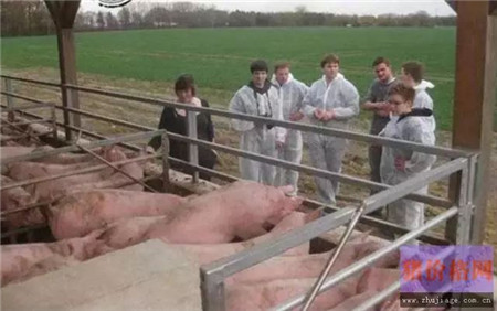 关于养猪场排污，德国养猪场如何“善后”？