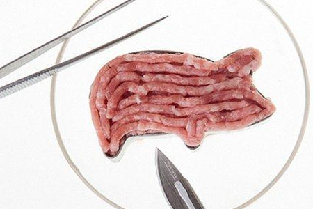随着经济的发展，人们对于肉的要求量逐渐增加，而本国的猪肉数量明显不够，形成了进口肉数量的不断增加；