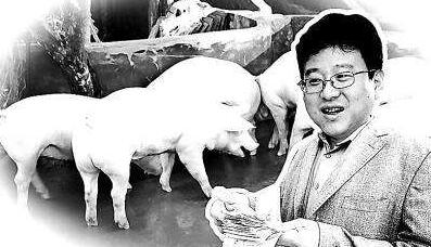 网易丁磊第二座养猪场落户于江西高安
